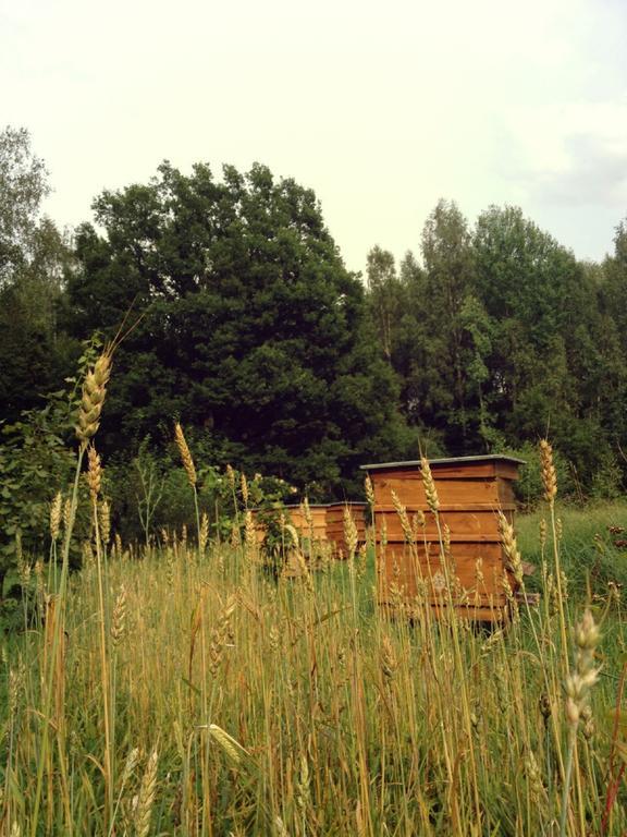 Glempings Klaukas Otel Sigulda Dış mekan fotoğraf